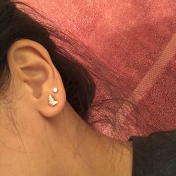 Tacoma's Best Piercing - Piercing Near Me - Tacoma, Washington Tacoma's Best Piercing - Piercing Near Me - Tacoma, Washington
