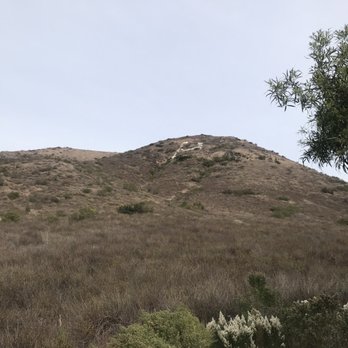 Palomar College - Colleges & Universities Near Me - San Marcos, California Palomar College - Colleges & Universities Near Me - San Marcos, California