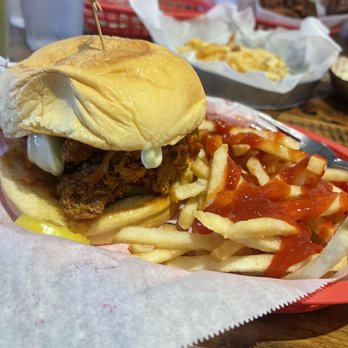 Tumble 22 - Italian stallion - American Near Me - Austin, Texas