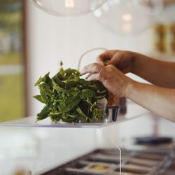 The Pizza Yard - We always use local ingredients when they're available. This basil was picked 2 blocks down the street.