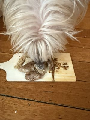 La Pawnaderia by null