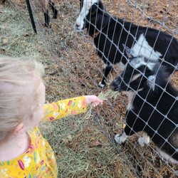 Our Sensory Farm