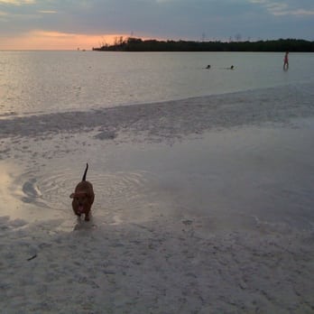 Dog Beach Park - Dog Parks Near Me - Fort Myers, Florida Dog Beach Park - Dog Parks Near Me - Fort Myers, Florida
