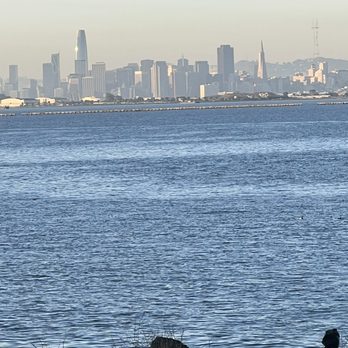 DoubleTree by Hilton - Berkeley - SF skyline - Hotels Near Me - Berkeley, California DoubleTree by Hilton - Berkeley - SF skyline - Hotels Near Me - Berkeley, California