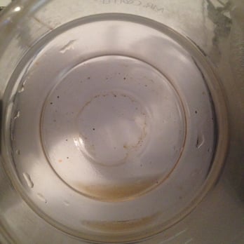 Russian River Getaways - Coffe pot was dirty and filter still in the machine with ground - Vacation Rentals Near Me - Guerneville, California Russian River Getaways - Coffe pot was dirty and filter still in the machine with ground - Vacation Rentals Near Me - Guerneville, California