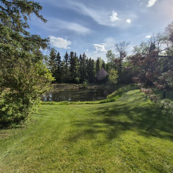 Edmonton Tree Health - Tree Services Near Me Edmonton Tree Health - Tree Services Near Me