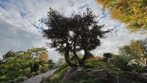 Botanical Garden by null Botanical Garden by null