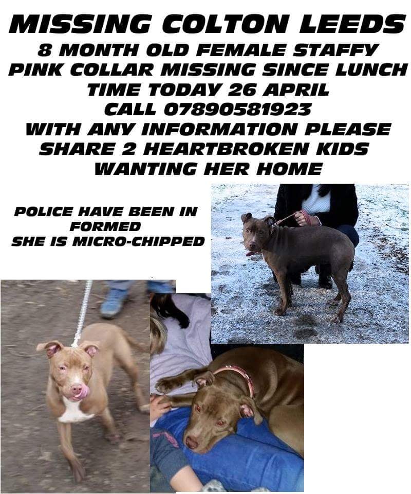 FLUSHDYKE KENNELS Updated September 2024 19 Photos Wakefield Road