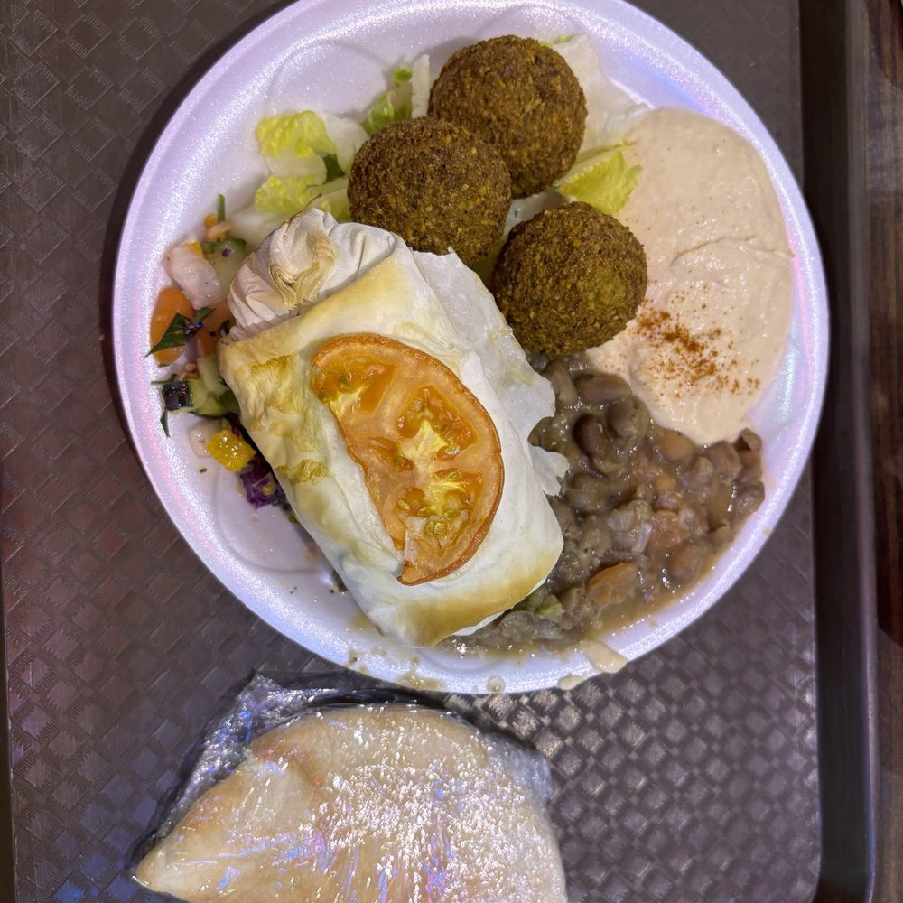 Oasis Cafe - Wabash Mixed Combo Special - Mediterranean Near Me - Chicago, Illinois