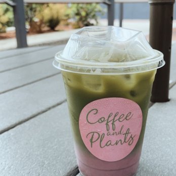 Coffee and Plants - Pink Matcha Latte (Iced) - Coffee & Tea Near Me - Pasadena, California