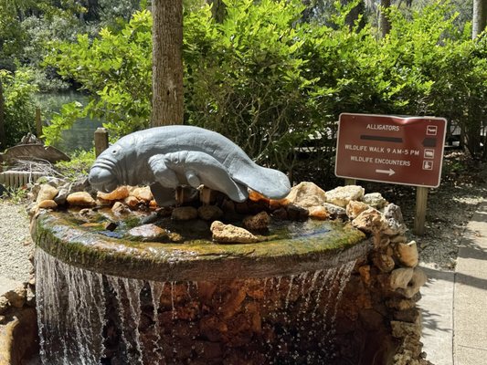 Ellie Schiller Homosassa Springs Wildlife State Park by null