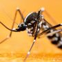 Photo of Pest Guard Exterminator Co of Bakersfield