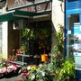Photo of Flors Ares