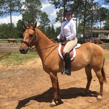 Misty Meadows Stable & Training Facility - Horseback Riding Near Me - Panama City, Florida Misty Meadows Stable & Training Facility - Horseback Riding Near Me - Panama City, Florida