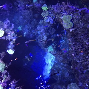 NightLife - Museums Near Me - San Francisco, California NightLife - Museums Near Me - San Francisco, California