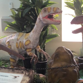 Cabazon Dinosaurs - Museums Near Me - Cabazon, California