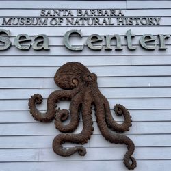 Santa Barbara Museum of Natural History Sea Center - Santa Barbara Sea Center