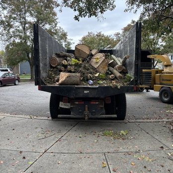 Artistic Touch Tree Service - Tree Services Near Me - Indianapolis, Indiana