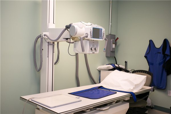 Union County Orthopaedic Group, a Division of OrthoNJ