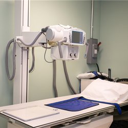 Union County Orthopaedic Group, a Division of OrthoNJ