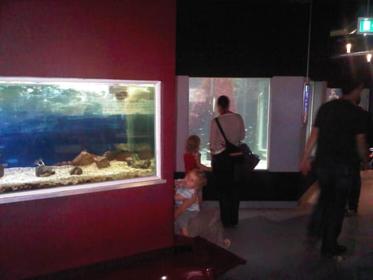Aquarium GEOMAR by null