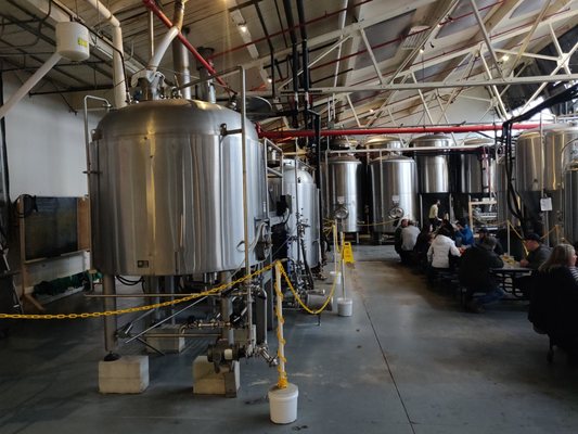 Free Will Brewing by null
