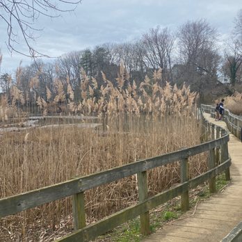 Truxtun Park - Beautiful view - Parks Near Me - Annapolis, Maryland