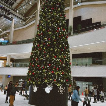 Lloyd Center Ice Rink - Skating Rinks Near Me - Portland, Oregon Lloyd Center Ice Rink - Skating Rinks Near Me - Portland, Oregon