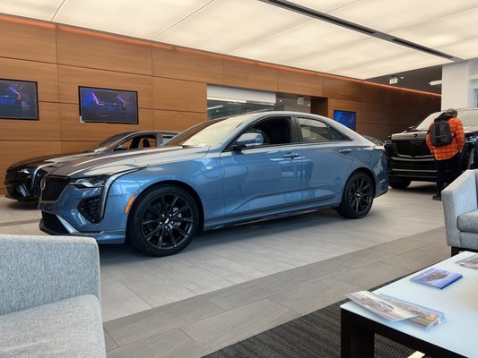 Cadillac of Beverly Hills by null