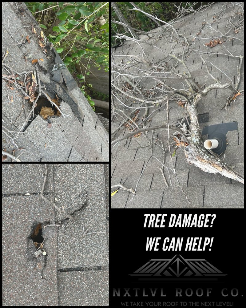 Slide of NxtLvl Roof