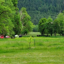 Celtic Elk Campground - Group Camping