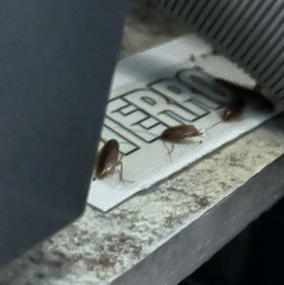 PARK ELLIOT APARTMENTS Updated September 2024 16 Photos 14354