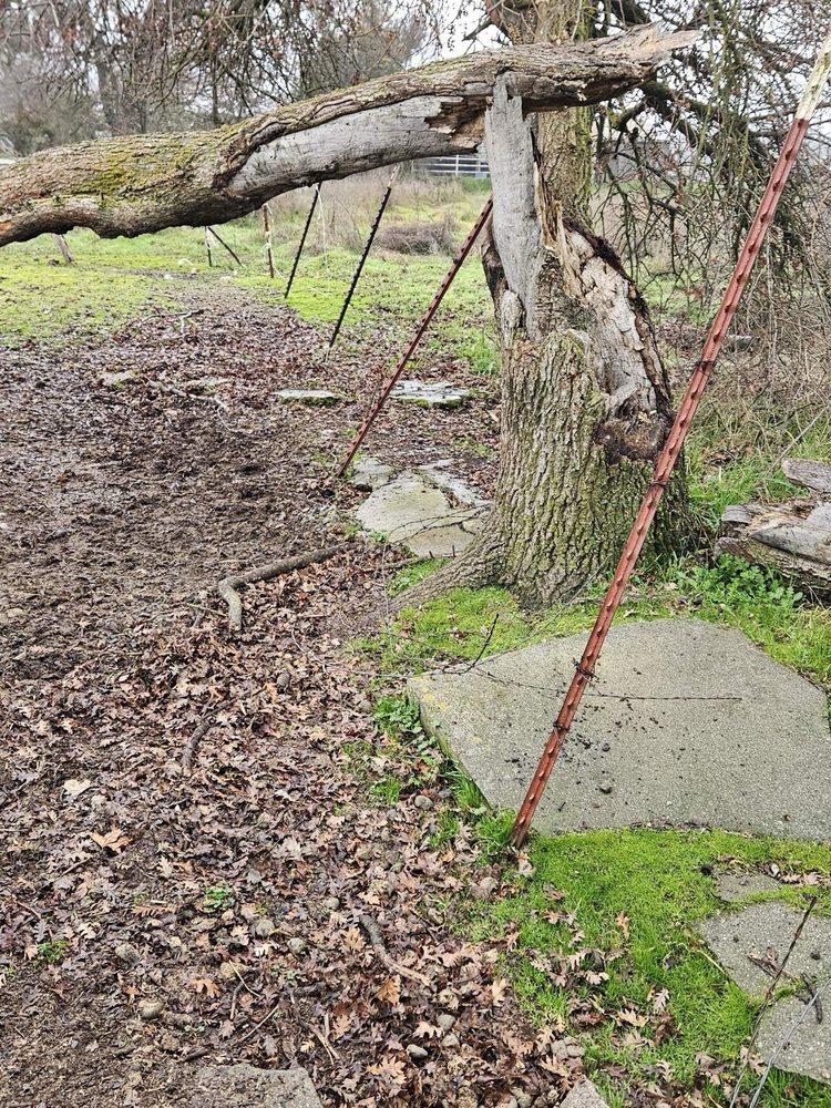 Slide of Mike Walker Lumber