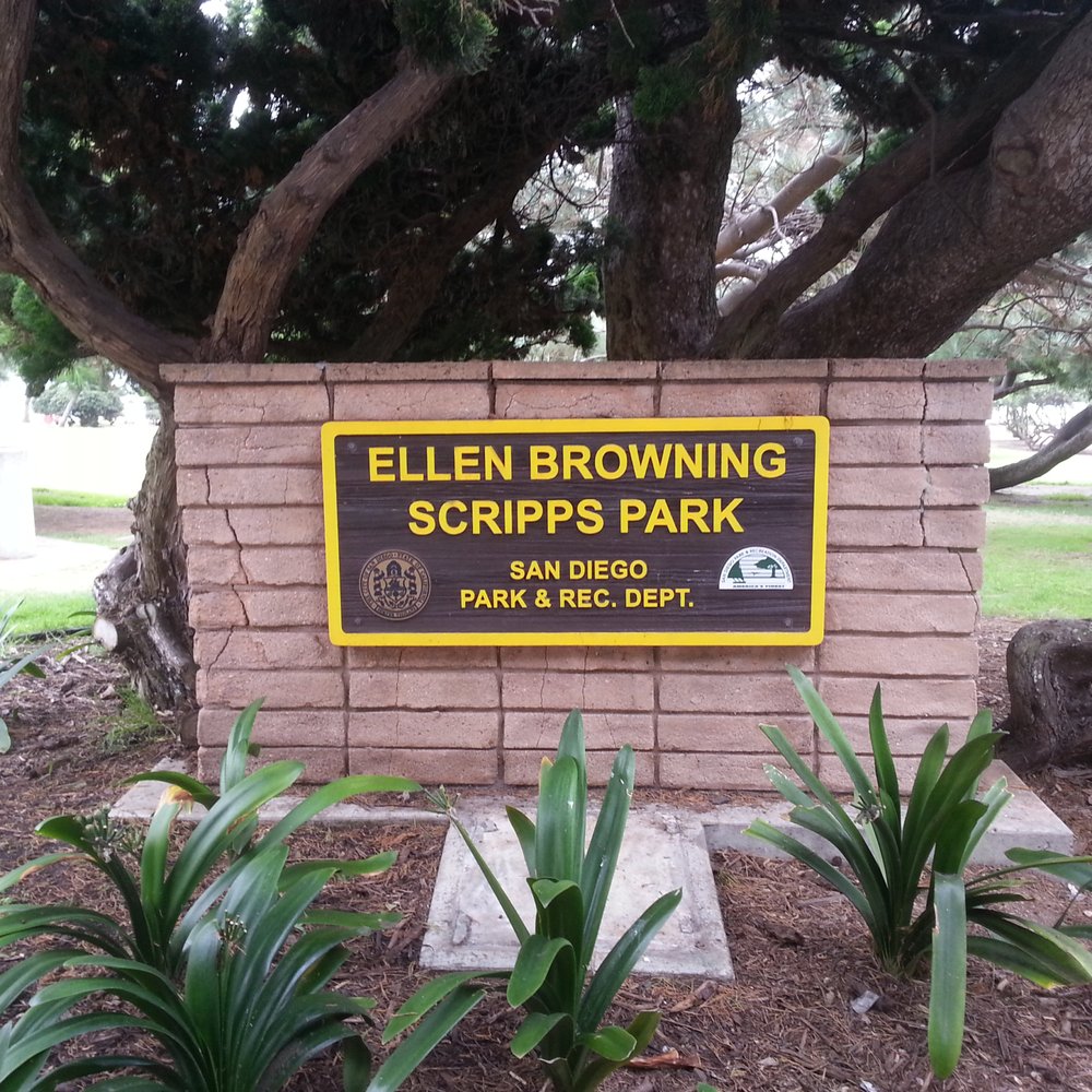 Ellen Browning Scripps Park - Park time. - Parks Near Me - La Jolla, California Ellen Browning Scripps Park - Park time. - Parks Near Me - La Jolla, California