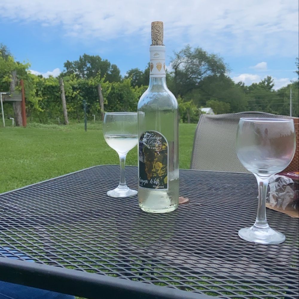 a bottle of wine and two glasses on a table a bottle of wine and two glasses on a table