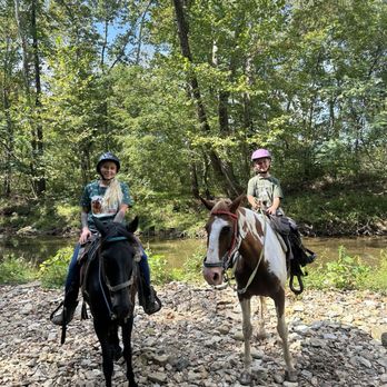 Natchez Trace Stables - Horseback Riding Near Me - Primm Springs, Tennessee Natchez Trace Stables - Horseback Riding Near Me - Primm Springs, Tennessee