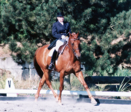 View Ridge Farm - equestrian in Woodinville, WA