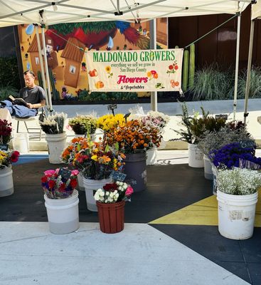Downtown Long Beach Farmer's Market by null