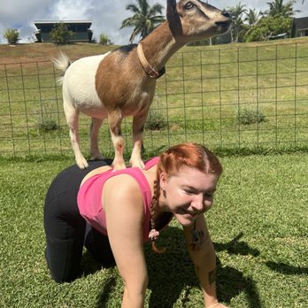 808 Goat Yoga - After yoga goat photos - Yoga Near Me - Kilauea, Hawaii