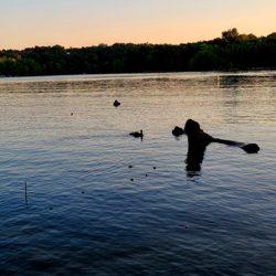 Wax Campground - We saw so much wildlife! Here was the duck family.