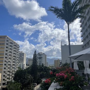Swell Restaurant and Pool Bar - Views - Bars Near Me - Honolulu, Hawaii Swell Restaurant and Pool Bar - Views - Bars Near Me - Honolulu, Hawaii