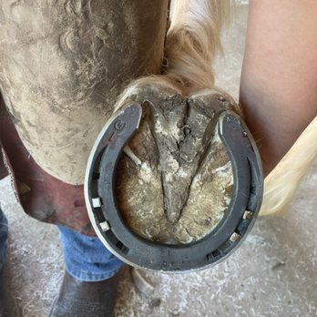 CK Farrier - Farriers Near Me