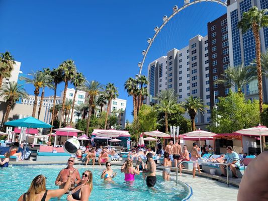 Photo of Flamingo Family Pool - Las Vegas, NV, US. Fun in the sun