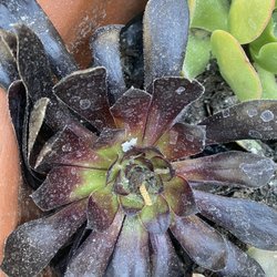 Mike Kimble Plumbing