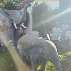 Beverly Hills Children Zoo