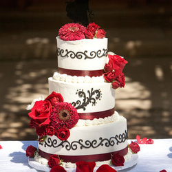 Oh Cake! - Neapolitan cake with non-dairy cream