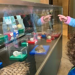 Lakeside Nature Center - Feather and skeleton and egg display