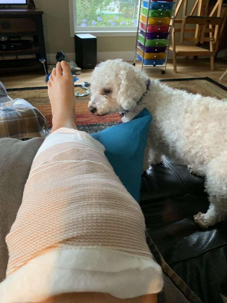 REGENERATIVE ORTHOPEDICS INSTITUTE RENEE SMITH, MD FAAOS 20 Photos & 16 Reviews 842