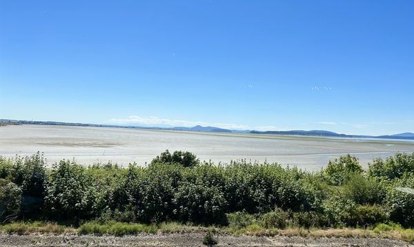 Chuckanut Manor Seafood & Grill by null