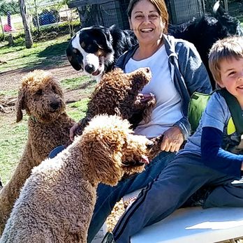 sitting pretty mobile grooming